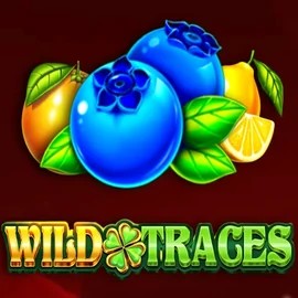 Wild Traces casino game by Amusnet Interactive – featured logo at Dragonia Casino